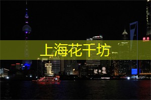 上海会所：揭秘豪华SPA保养，消除疲劳、达到身心平衡的绝佳方